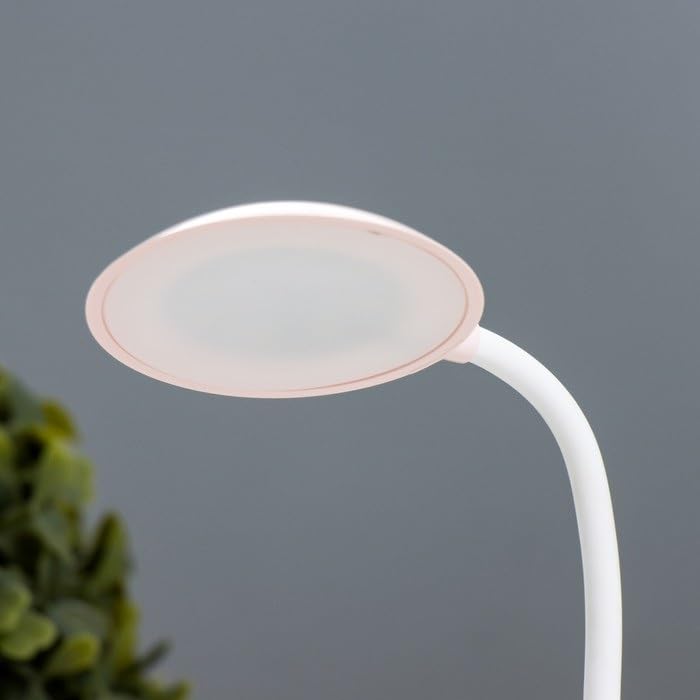 Rechargeable LED Table Lamp