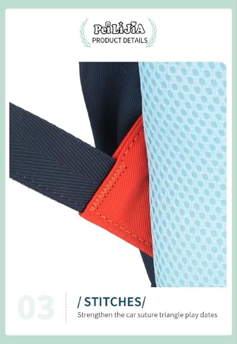 School Backpacks for Teen Girls & Boys