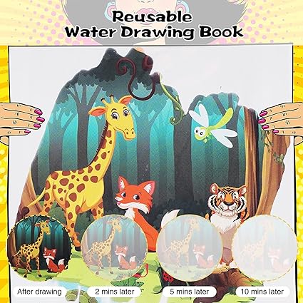 Reusable Water Coloring Books - Set of 12
