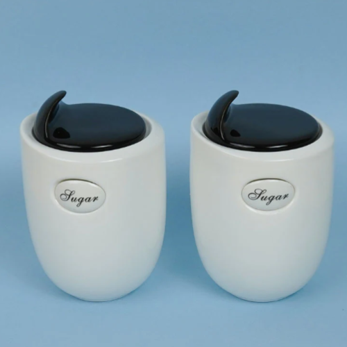 Modern Ceramic Airtight Tea Sugar Container - (Set of 2)
