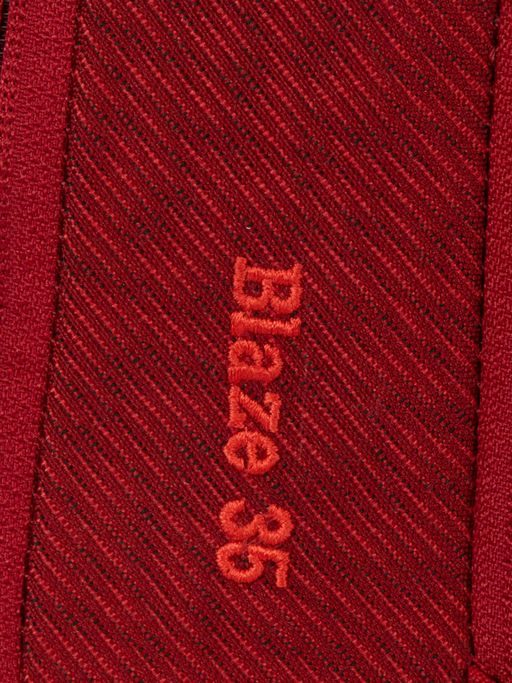 Wiki Blaze Light Red Backpack with Rain Cover